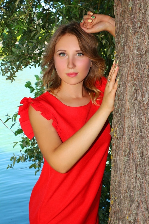 Vlada